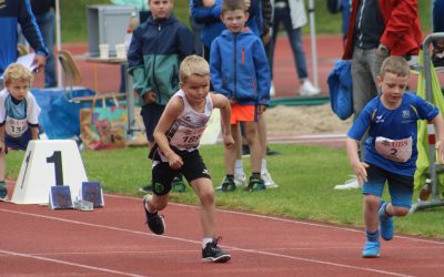 UBS Kids Cup, Wohlen