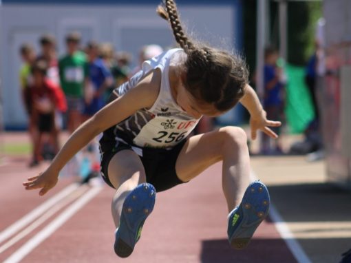 UBS Kids Cup, Stein