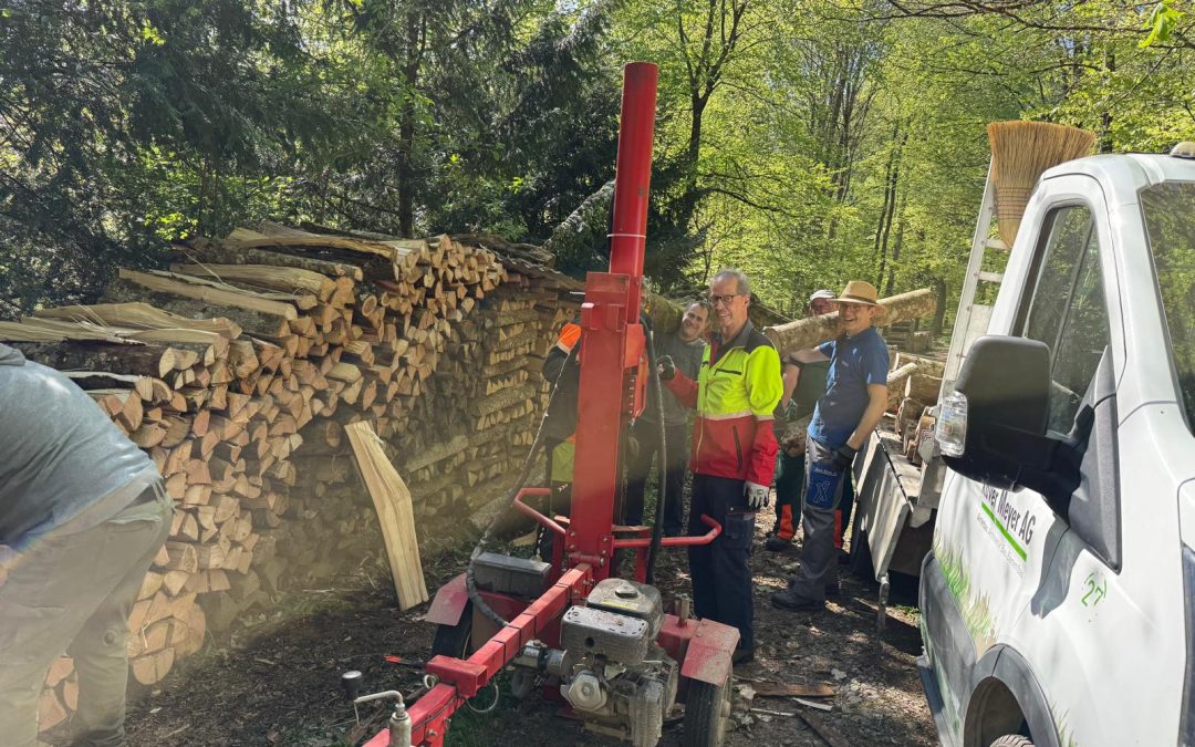 Holzen fürs nächste Raclette Stübli